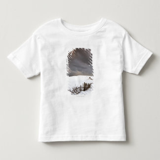 A Broken Fence Along A Snow Covered Field Toddler T-Shirt