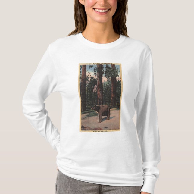 A Brown Bear in the Woods T-Shirt (Front)