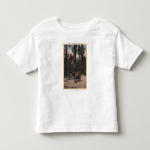A Brown Bear in the Woods Toddler T-Shirt