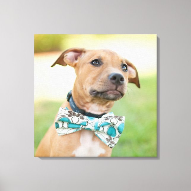 A Brown Puppy Wears A Colourful Bow Tie Canvas Print (Front)