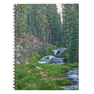A Buck Rests at a Cascading River Notebook