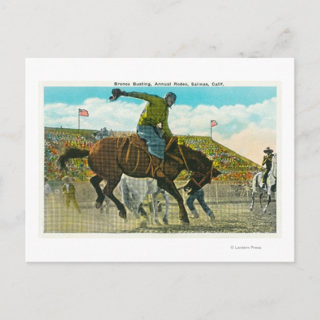 A Bucking Bronco at the Annual Salinas Rodeo Postcard (Front)