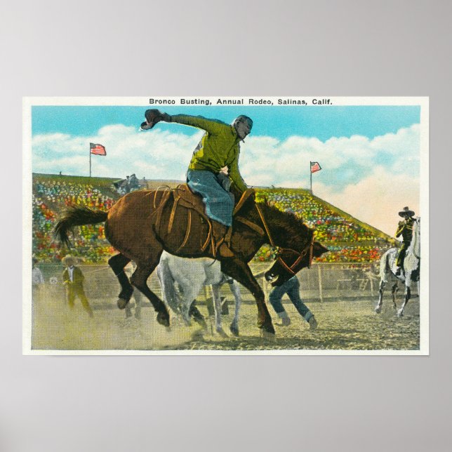 A Bucking Bronco at the Annual Salinas Rodeo Poster (Front)