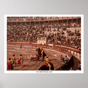 A bull fight, Barcelona, Spain Poster