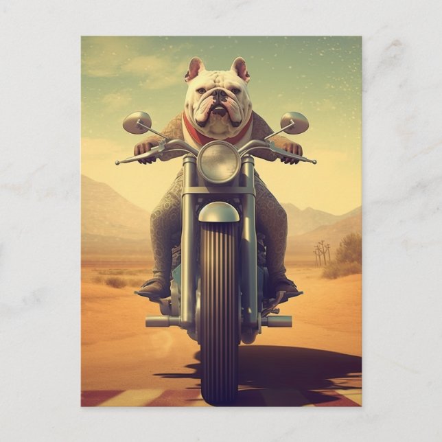A Bulldog Riding a Motorcycle in the Desert Postcard (Front)