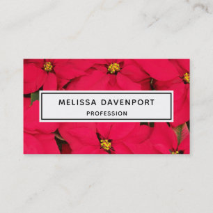A bunch of Brightly Coloured Christmas Poinsettias Business Card