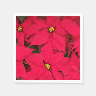 A bunch of Brightly Coloured Christmas Poinsettias Napkin