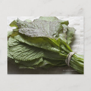 A bunch of fresh mustard greens, from a farmer's postcard