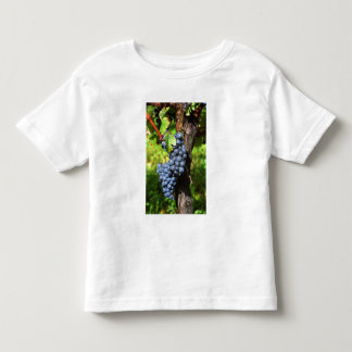 A bunch of grapes ripe merlot on a vine with toddler T-Shirt