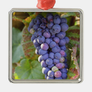 A bunch of Pinot Noir grapes in a Chambertin Metal Tree Decoration