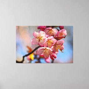 A Bunch Of Sweet Sakura Cherry Blossoms In Spring Canvas Print