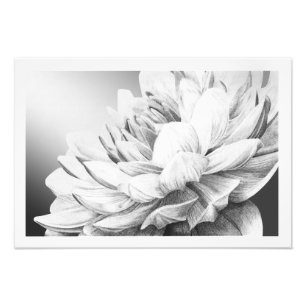 A Burst of Spring (with border) Photo Print