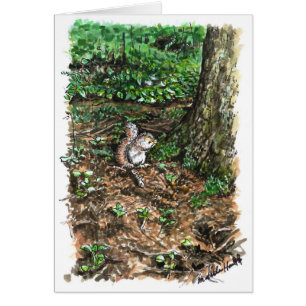 A busy squirrel
