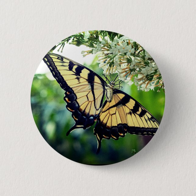 A butterfly  6 cm round badge (Front)