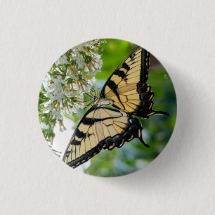 A butterfly with yellow and black wings 3 cm round badge