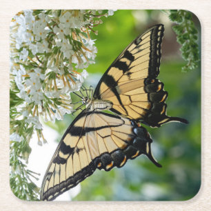 A butterfly with yellow and black wings  square paper coaster