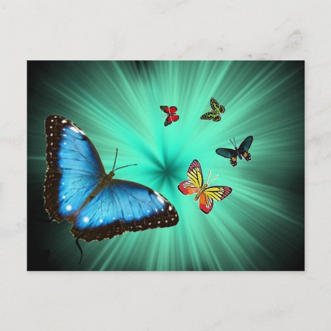 A Butterflys Journey Postcard (Front)
