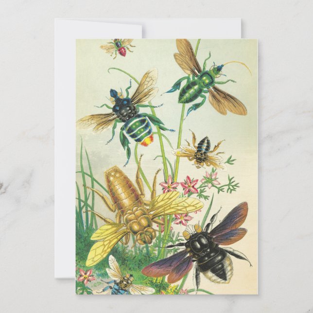 A Buzz of Bees Party Invitation (Front)