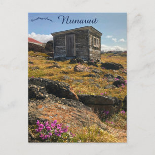 A Cabin in Nunavut Canada Postcard