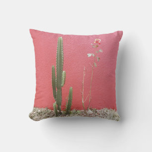 A cactus and a rose cushion