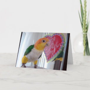 A Caique Valentine Holiday Card