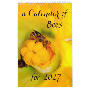 A Calendar of Bees for 2027 - 11 x 14¼ Inch
