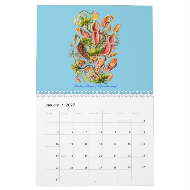A calendar of plants of Ernst Haeckel (Jan 2027)