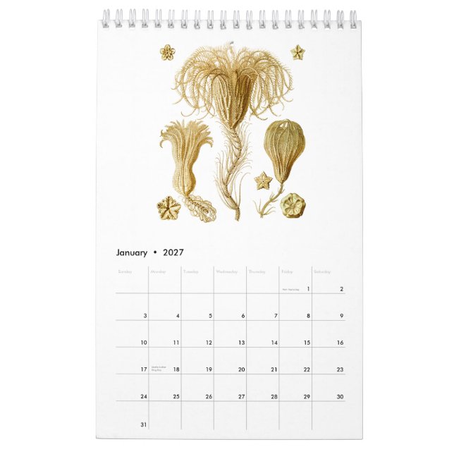 A calendar of some drawings of Ernst Haeckel (Jan 2027)