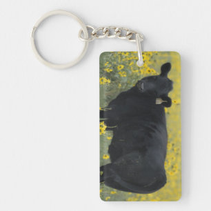 A calf amid the sunflowers of the Nebraska Key Ring