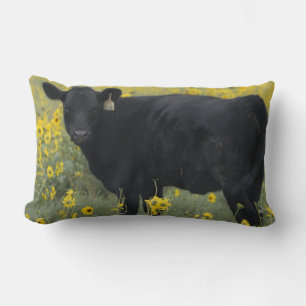 A calf amid the sunflowers of the Nebraska Lumbar Cushion