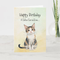 A Calico Cat Personality Birthday  Animal