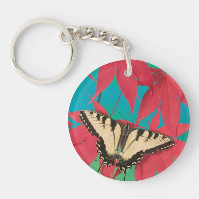 A Canadian Tiger Swallowtail Butterfly Key Ring (Front)