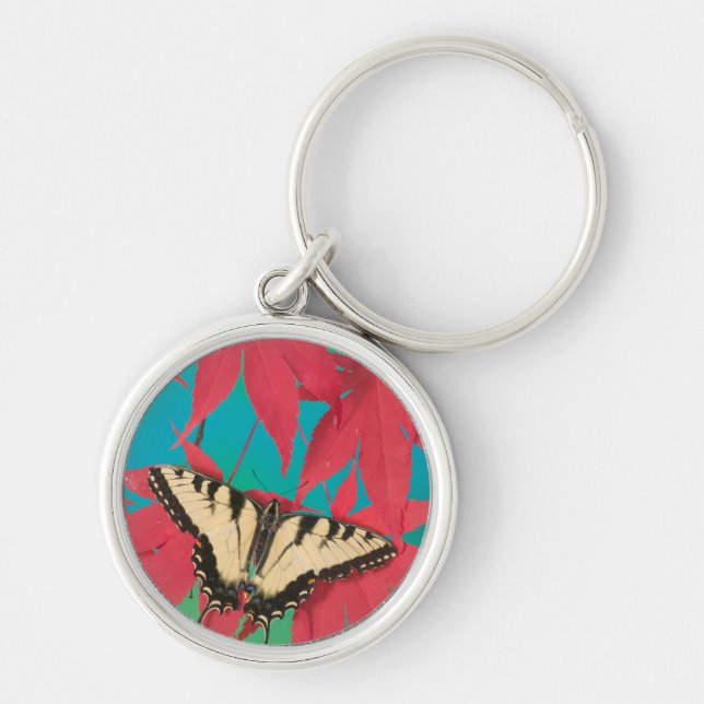 A Canadian Tiger Swallowtail Butterfly Key Ring (Front)