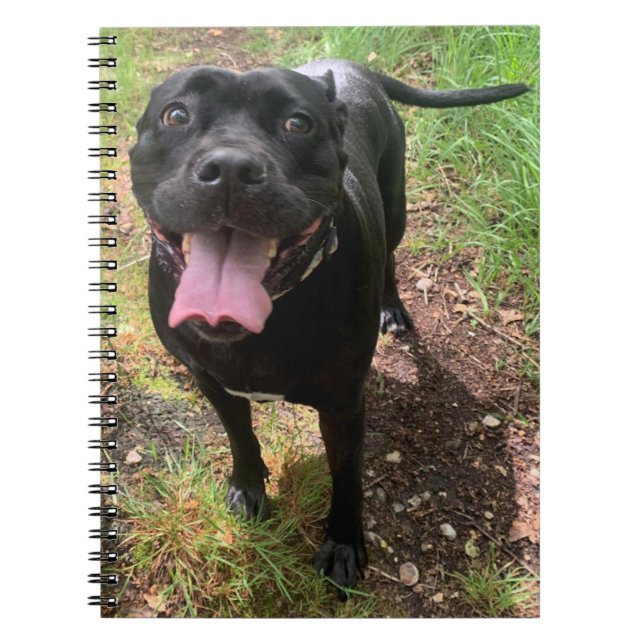 A Cane Corso X Notebook (Front)