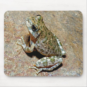 A Canyon Treefrog Mouse Pad