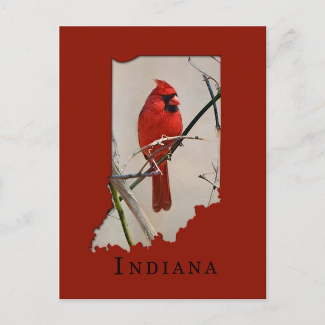 A Cardinal Inside the Shape of Indiana Postcard (Front)