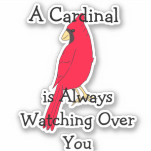 A Cardinal is Always Watching Over You