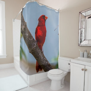 A Cardinal Shower Curtain