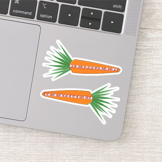 A Carrot for Christmas Reindeer (Detail)