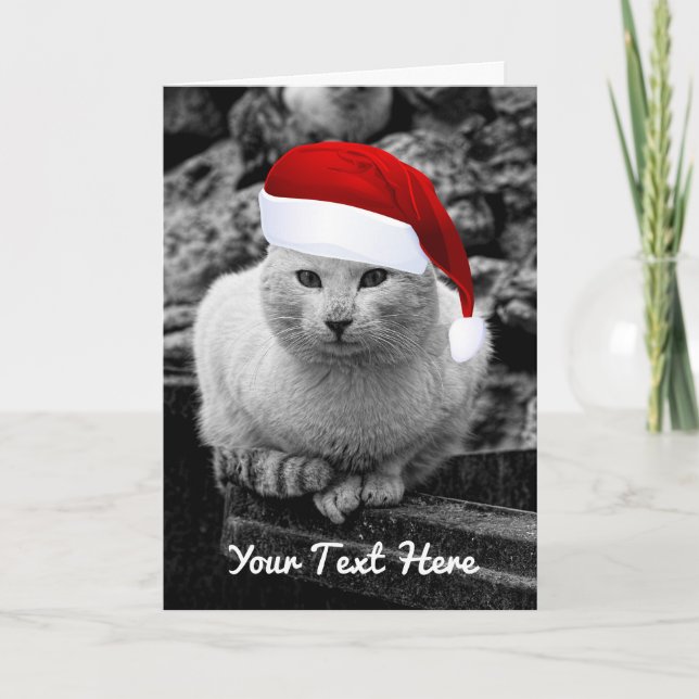 A Cat Black & White With Santa Hat Greeting Cards (Front)