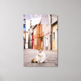 A cat in the streets of Burano, Italy. 2006. Canvas Print