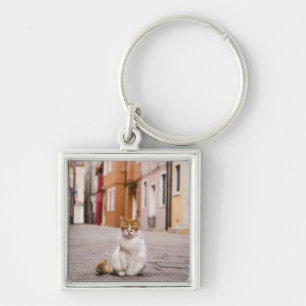 A cat in the streets of Burano, Italy.  2006. Key Ring