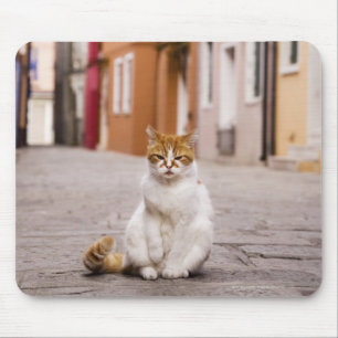 A cat in the streets of Burano, Italy. 2006. Mouse Pad
