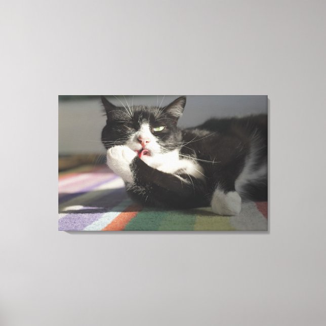 A Cat Licking It's Paw Canvas Print (Front)
