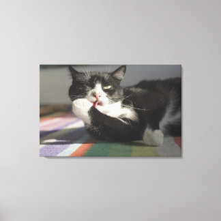 A Cat Licking It's Paw Canvas Print
