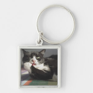A Cat Licking It's Paw Key Ring