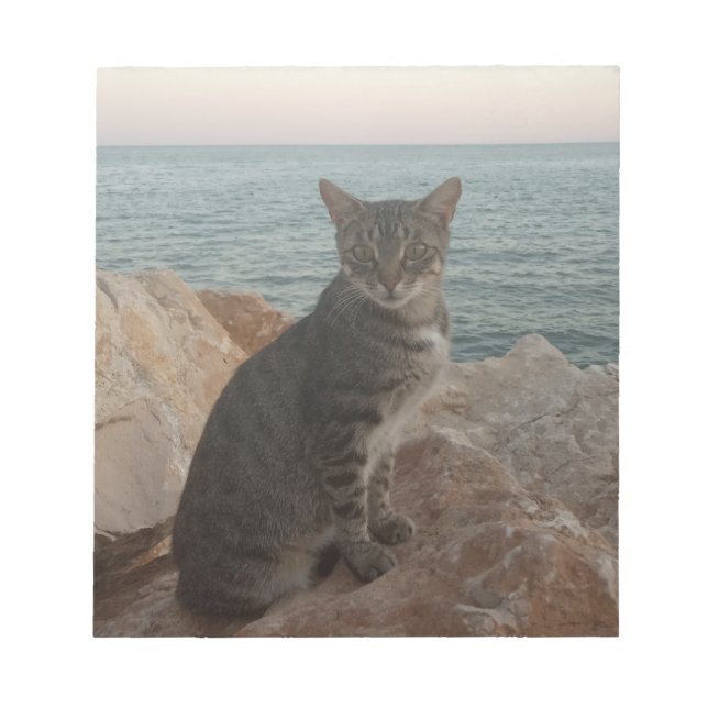 A Cat Model Notepad (Front)