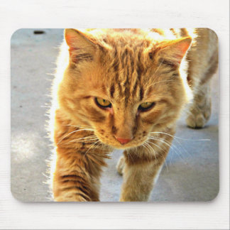 A Cat Mouse Pad
