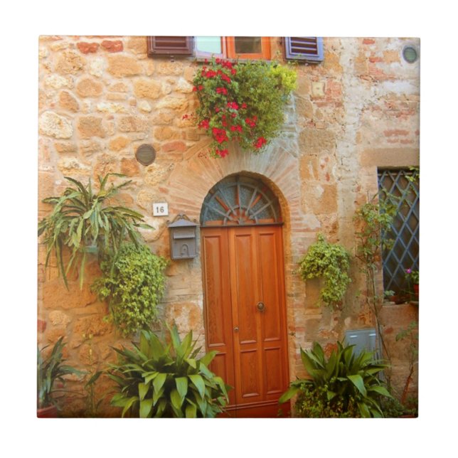 A cat seeks entrance to home in Pienza, Italy Tile (Front)
