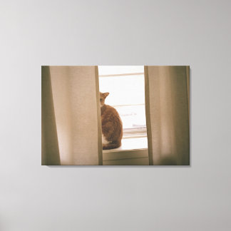 A Cat Sitting Behind The Curtains On A Window Canvas Print